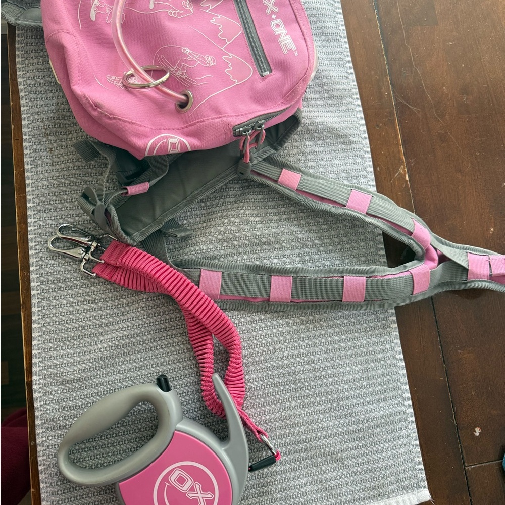 Grey & Pink Kids Hands-Free Leash and Harness Set